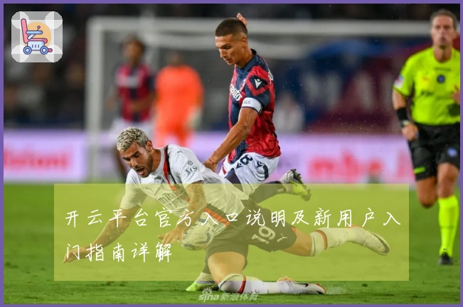 开云平台官方入口说明及新用户入门指南详解