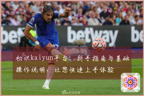 初识kaiyun平台：新手指南与基础操作说明，让您快速上手体验
