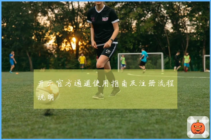 开云官方通道使用指南及注册流程说明