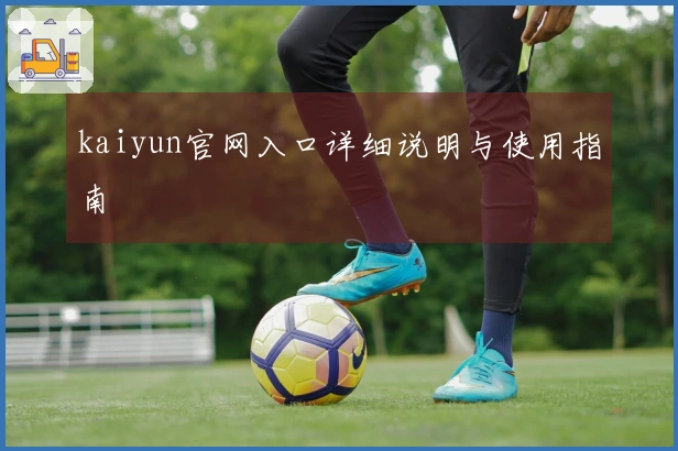 kaiyun官网入口详细说明与使用指南