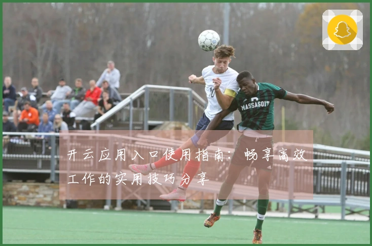 开云应用入口使用指南:畅享高效工作的实用技巧分享