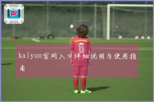 kaiyun官网入口详细说明与使用指南