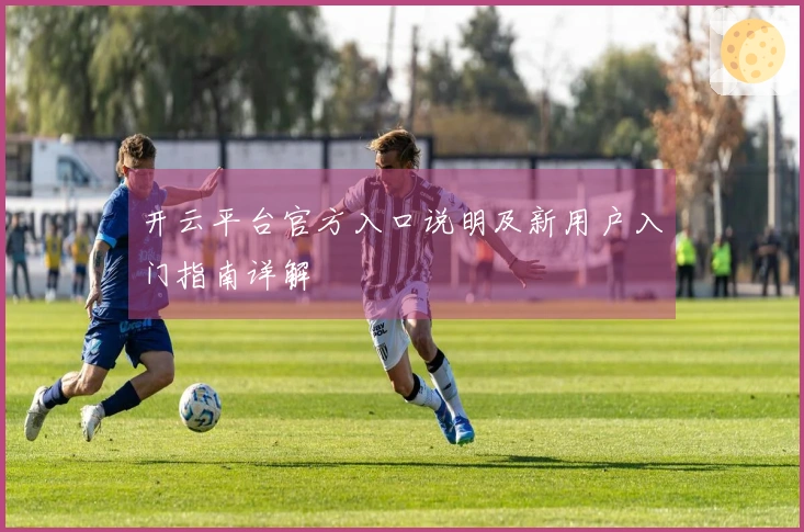 开云平台官方入口说明及新用户入门指南详解