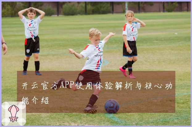开云官方APP使用体验解析与核心功能介绍